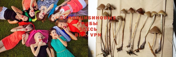 дмт Алексеевка