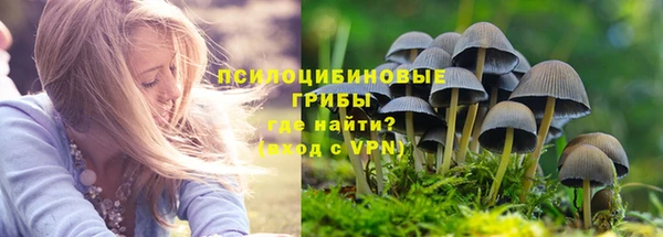 дмт Алексеевка