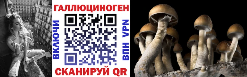 hydra ССЫЛКА  Заволжск  Псилоцибиновые грибы MAGIC MUSHROOMS 